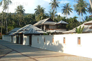Coconut Paradise 42